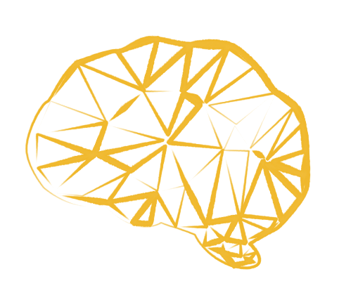 illustration pauline vauthier cerveau neuroscience